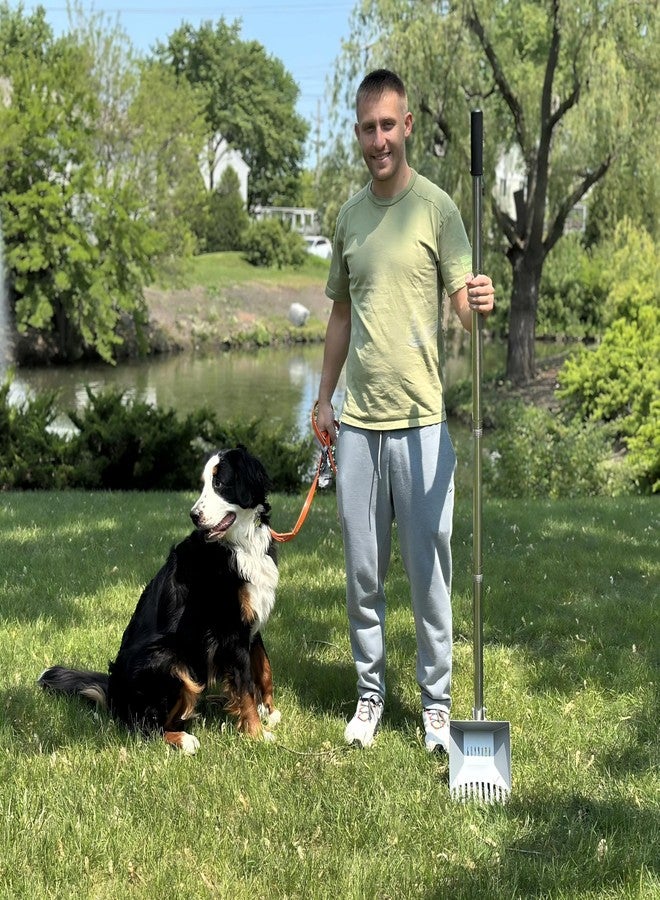 CKLT Heavy Duty Pooper Scooper 66in Tempered Spring Steel Scoop Long Stainless Steel Handle Dog Pooper Scooper for Large Dogs Outdoor Pet Waste Removal Shovel - Image 2